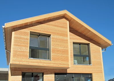 Haus aus Holz P2